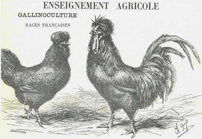 La revue touche des domaines variés de l'enseignement